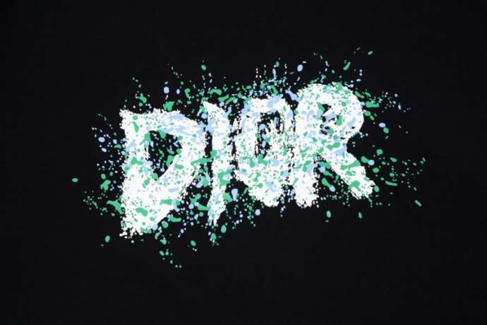 Dior T Shirts Short _SKUDiorS-XLD33733995